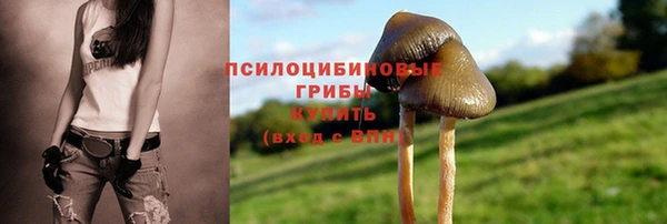 прущая мука Абаза