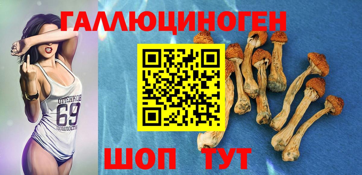 Галлюциногенные грибы прущие грибы  Вход с VPN  Псилоцибиновые грибы мицелий  цены наркотик  Тутаев 