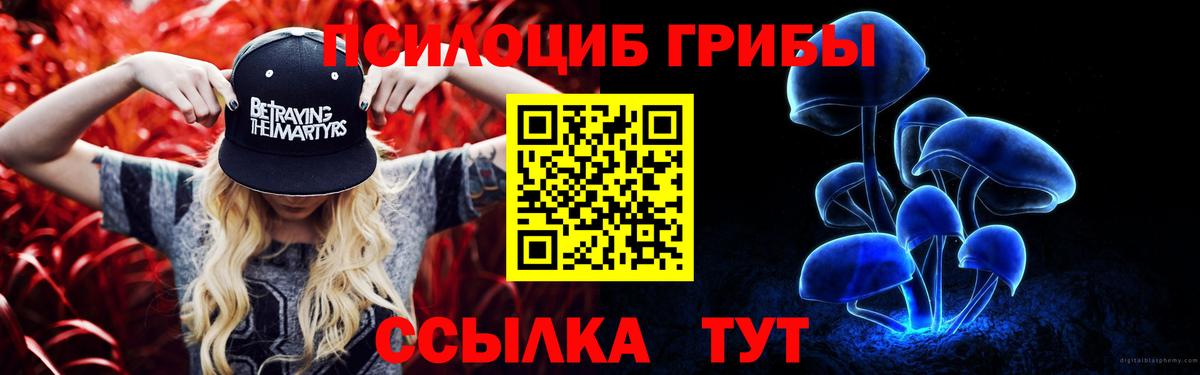 Псилоцибиновые грибы GOLDEN TEACHER Тутаев
