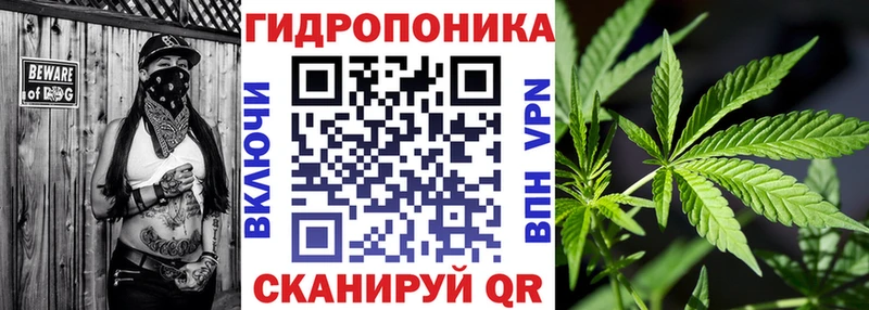 Бошки марихуана THC 21% Тутаев